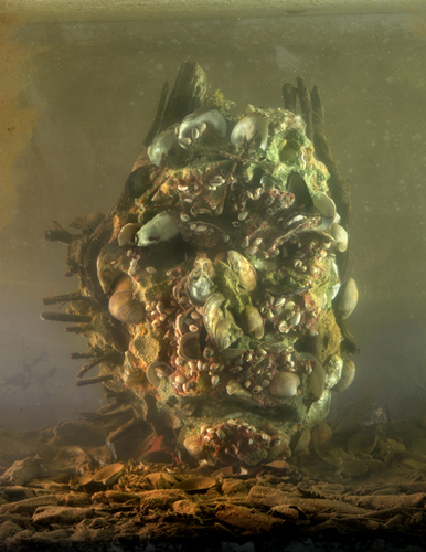 Kim Keever