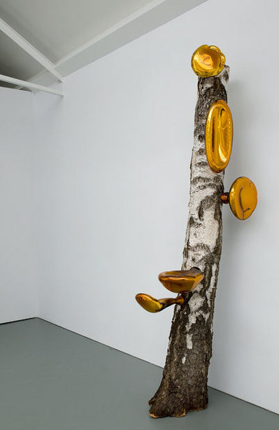 Maria Roosen