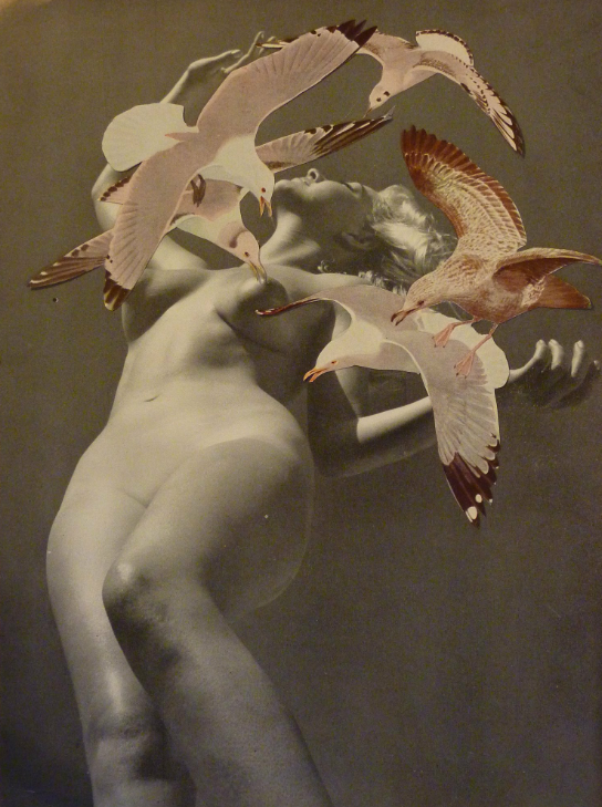 Jeneleen Floyd