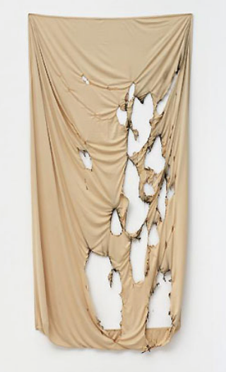 amie dicke