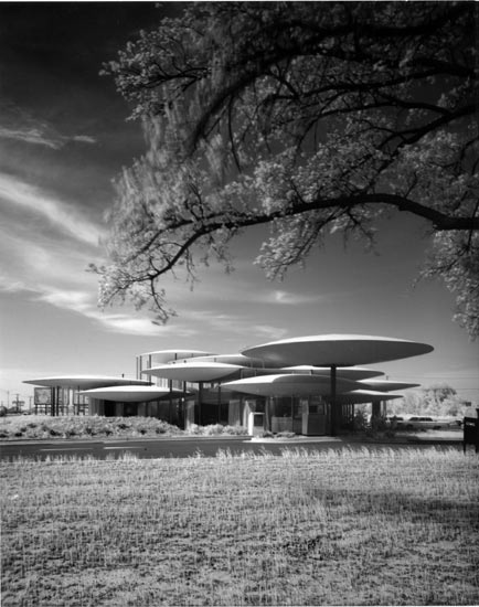 shulman_2